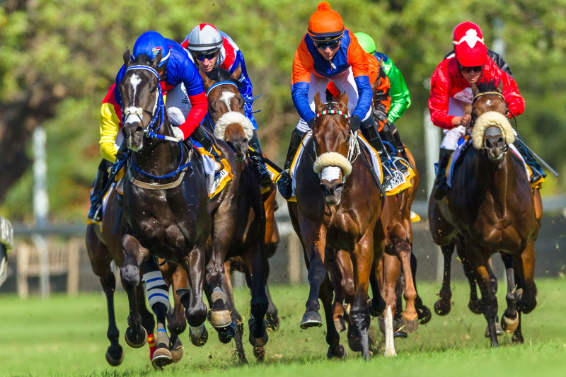 競馬 ストレートレース